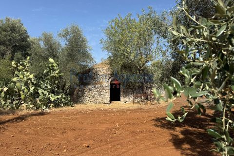 Farm hus i Ostuni, Brindisi, Ostuni - € 85.000 | Ref: 172956 - foto 3
